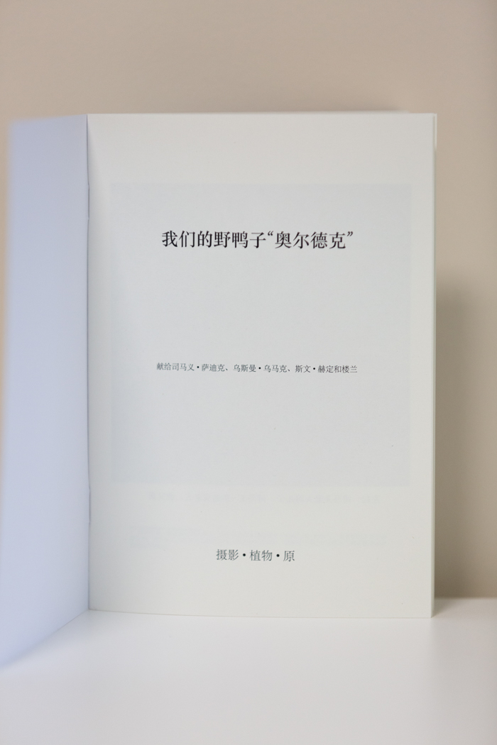 https://www.zhangboyuan.net/files/gimgs/36_zine-11.jpg